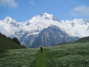 Qigong in the Alps