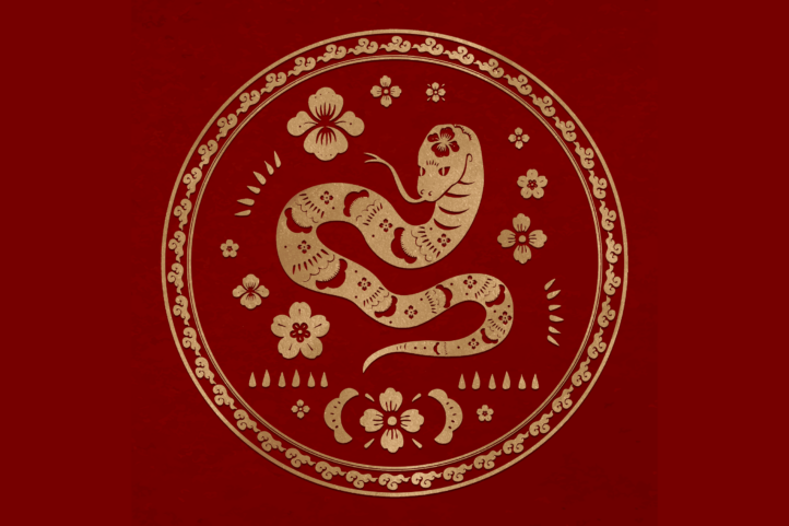 2025 Year of the Wood Snake